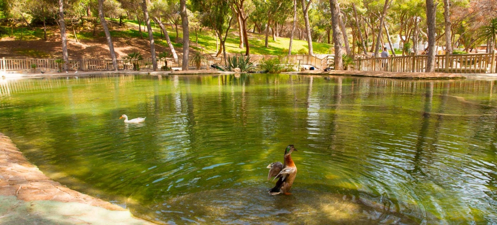 Discover Reina Sofía Park in Guardamar del Segura
