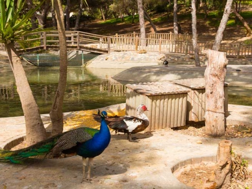 Discover Reina Sofía Park in Guardamar del Segura