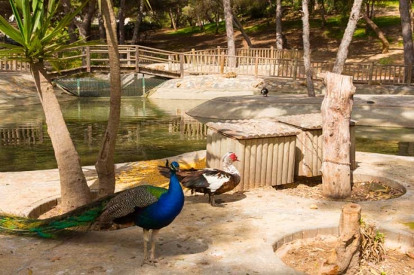 Discover Reina Sofía Park in Guardamar del Segura