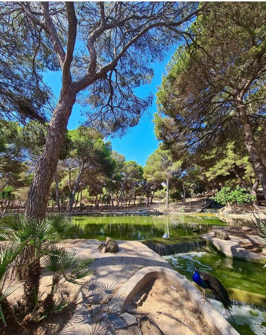 Discover Reina Sofía Park in Guardamar del Segura