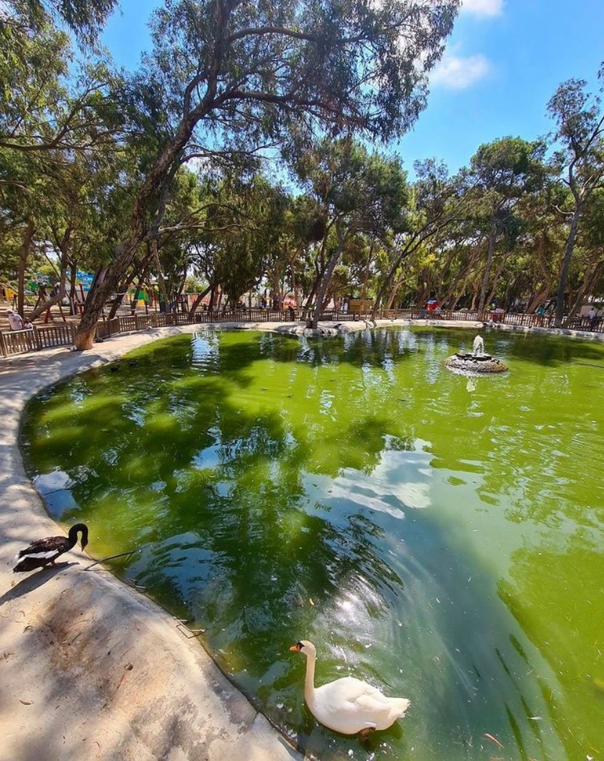 Discover Reina Sofía Park in Guardamar del Segura