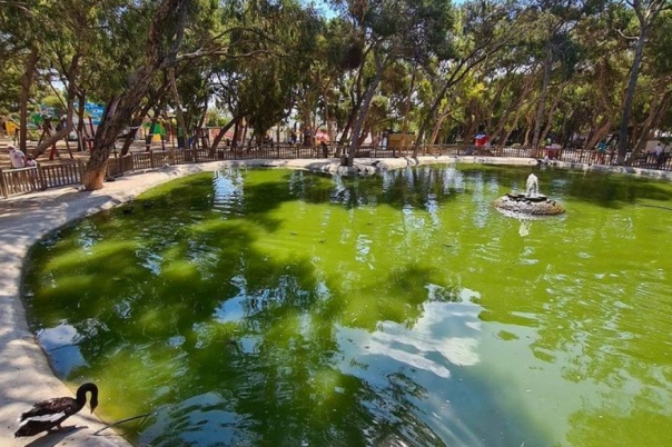 Discover Reina Sofía Park in Guardamar del Segura