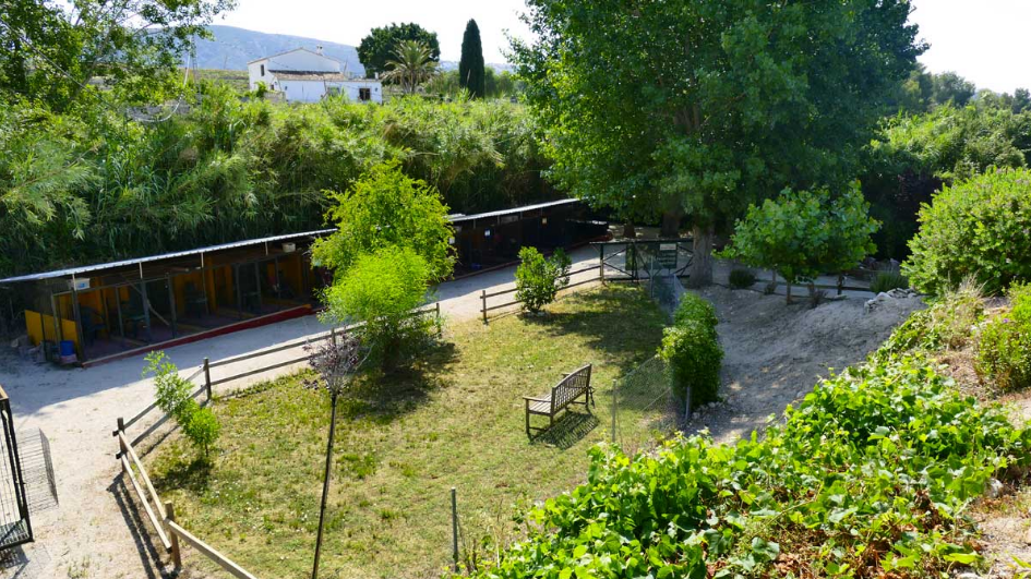 Clinica Veterinaria Aliaga - Veterinary Clinic, Kennels & Cattery