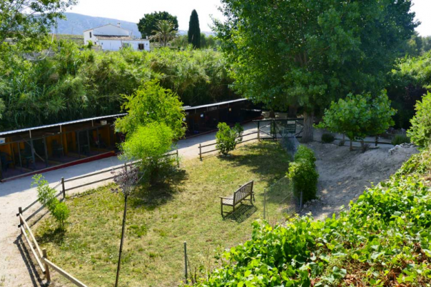 Clinica Veterinaria Aliaga - Veterinary Clinic, Kennels & Cattery