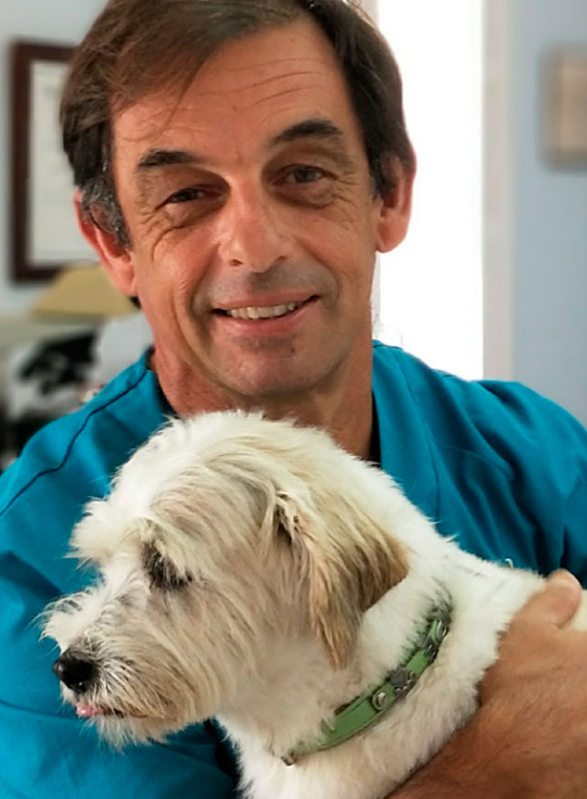 Clinica Veterinaria Aliaga - Veterinary Clinic, Kennels & Cattery