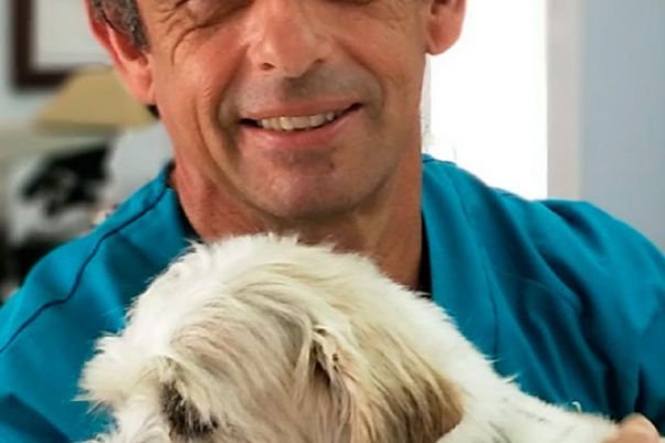 Clinica Veterinaria Aliaga - Veterinary Clinic, Kennels & Cattery