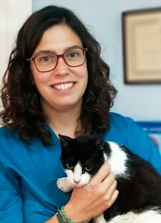 Clinica Veterinaria Aliaga - Veterinary Clinic, Kennels & Cattery