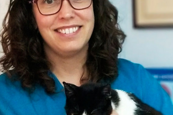 Clinica Veterinaria Aliaga - Veterinary Clinic, Kennels & Cattery