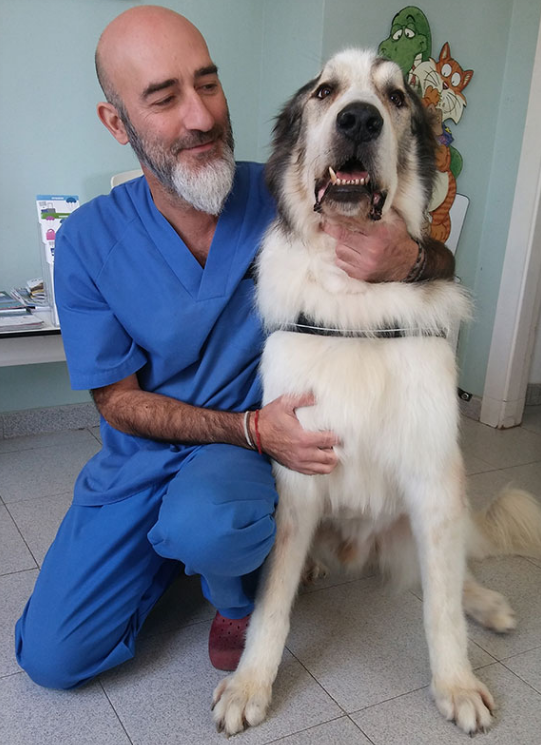 Clinica Veterinaria Aliaga - Veterinary Clinic, Kennels & Cattery