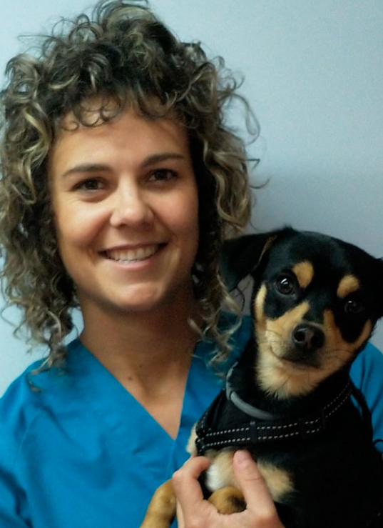 Clinica Veterinaria Aliaga - Veterinary Clinic, Kennels & Cattery