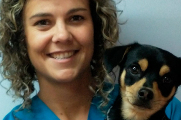 Clinica Veterinaria Aliaga - Veterinary Clinic, Kennels & Cattery