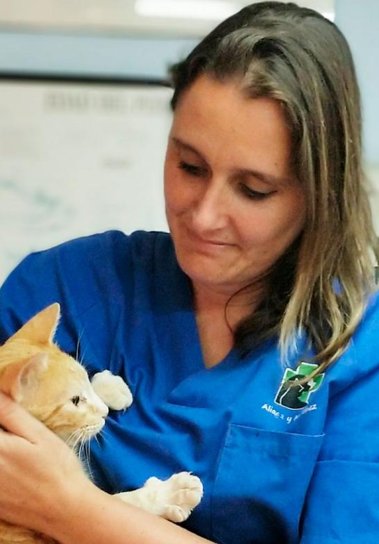 Clinica Veterinaria Aliaga - Veterinary Clinic, Kennels & Cattery
