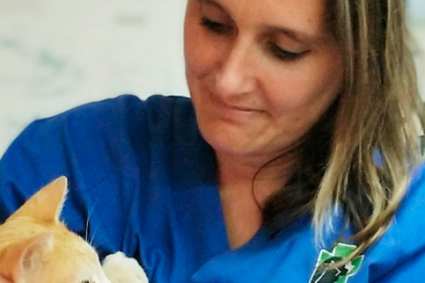Clinica Veterinaria Aliaga - Veterinary Clinic, Kennels & Cattery