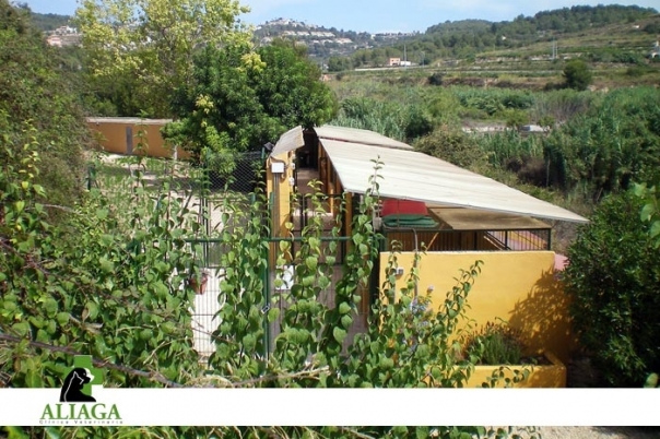 Clinica Veterinaria Aliaga - Veterinary Clinic, Kennels & Cattery