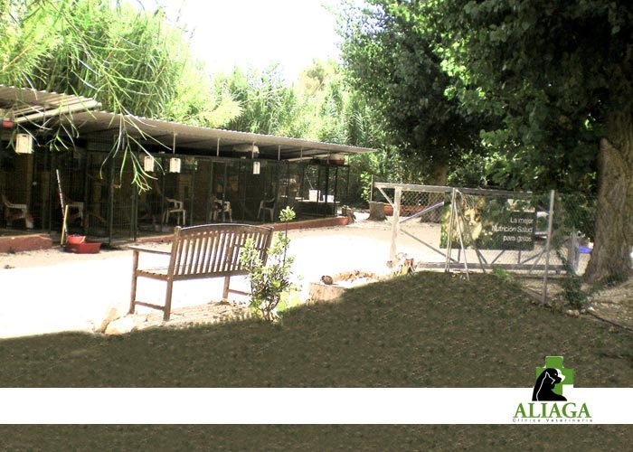 Clinica Veterinaria Aliaga - Veterinary Clinic, Kennels & Cattery