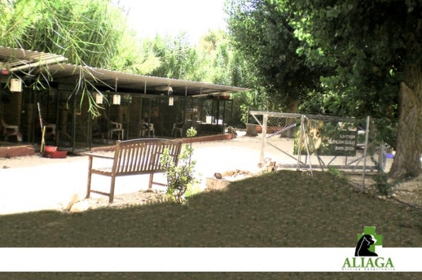 Clinica Veterinaria Aliaga - Veterinary Clinic, Kennels & Cattery