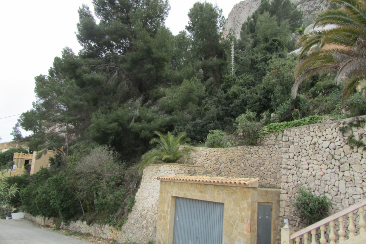 plot in Calp