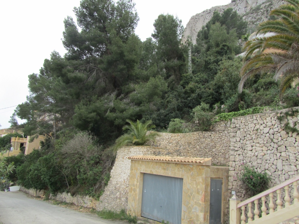 plot in Calp