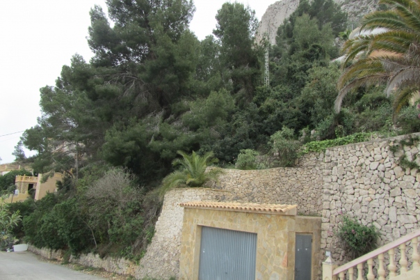 plot in Calp