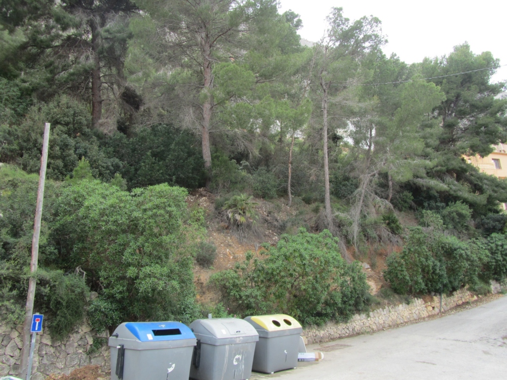 plot in Calp