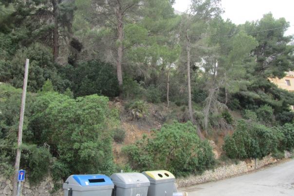 plot in Calp