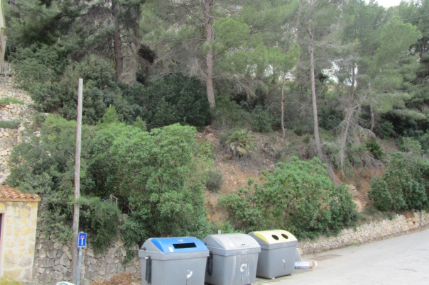 plot in Calp