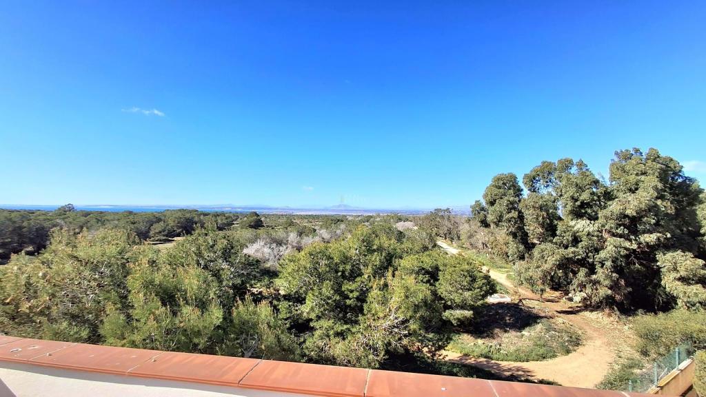 2 bed apartment in Elche/Elx