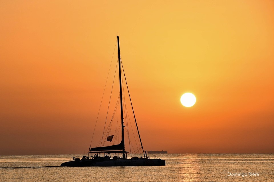 Mundo Marino Altea - Boat Trips & Cruises Costa Blanca