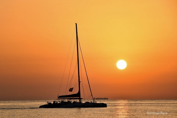 Mundo Marino Altea - Boat Trips & Cruises Costa Blanca