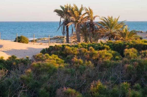 2 bed apartment in Guardamar del Segura