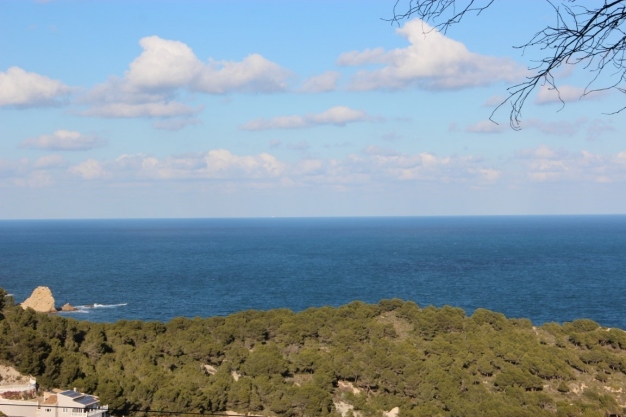 plot in Jávea