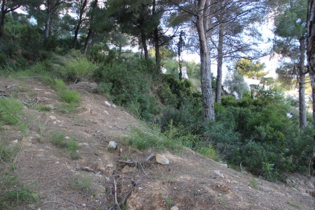 plot in Jávea