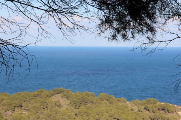 plot in Jávea