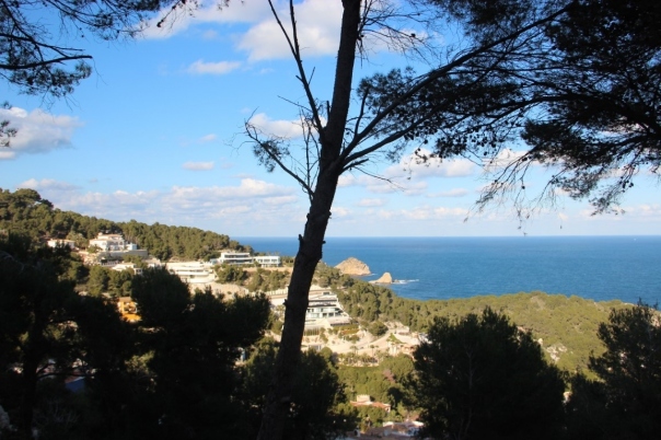 plot in Jávea
