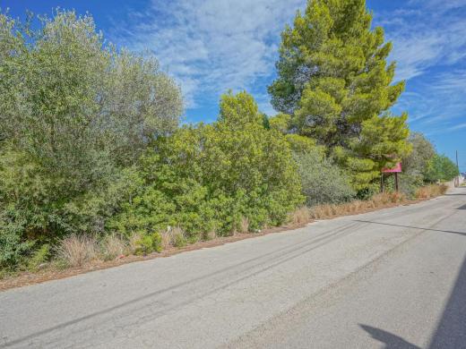 plot in Benissa