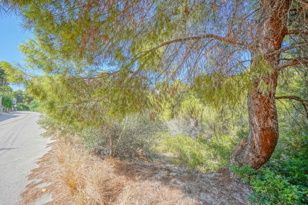 plot in Benissa