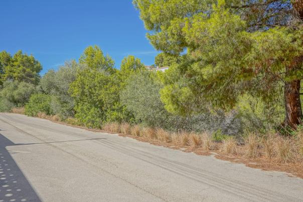 plot in Benissa