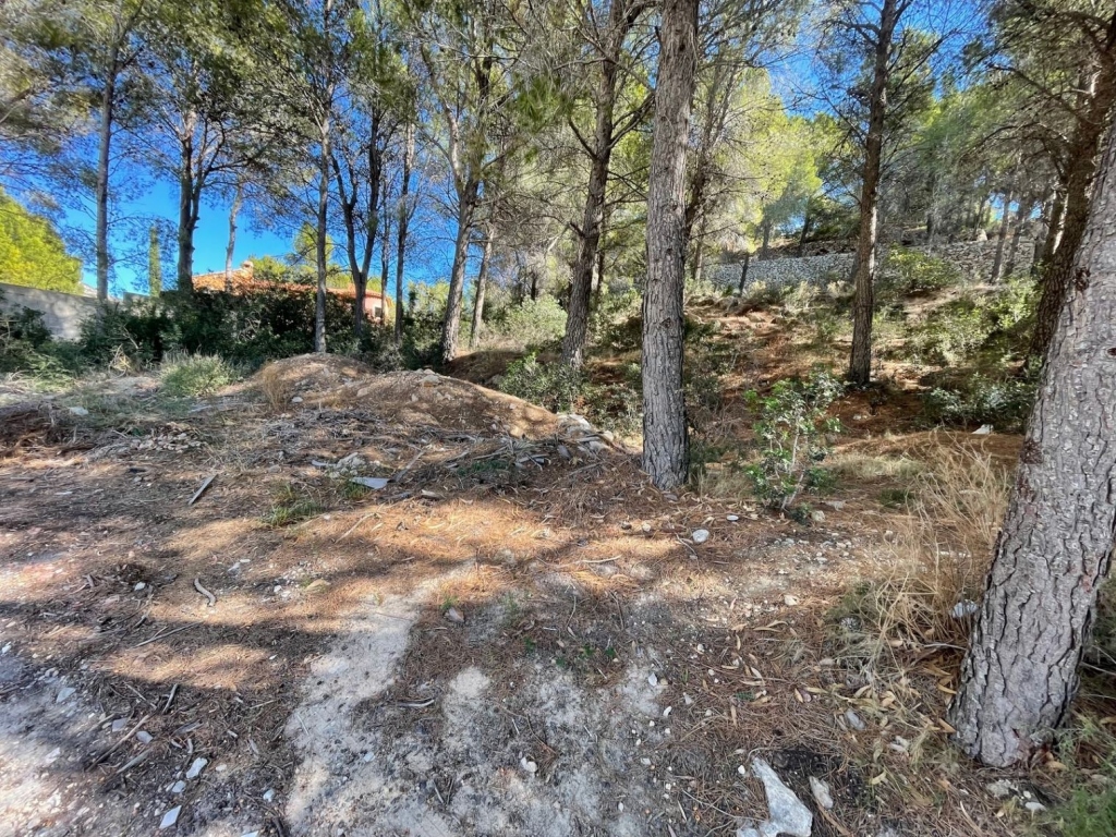 plot in Altea