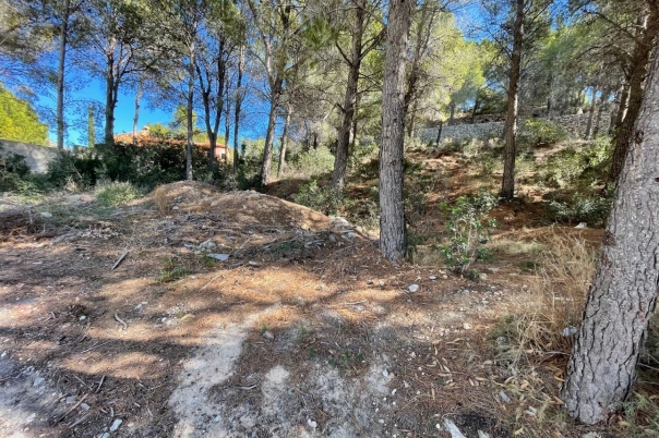 plot in Altea