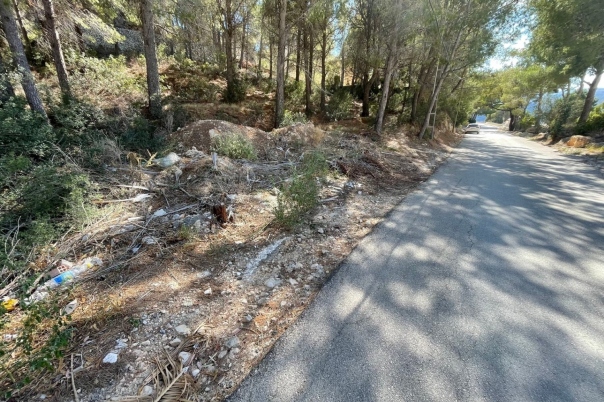 plot in Altea