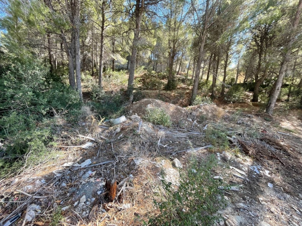 plot in Altea