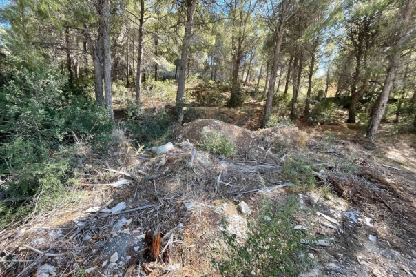 plot in Altea