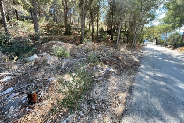 plot in Altea