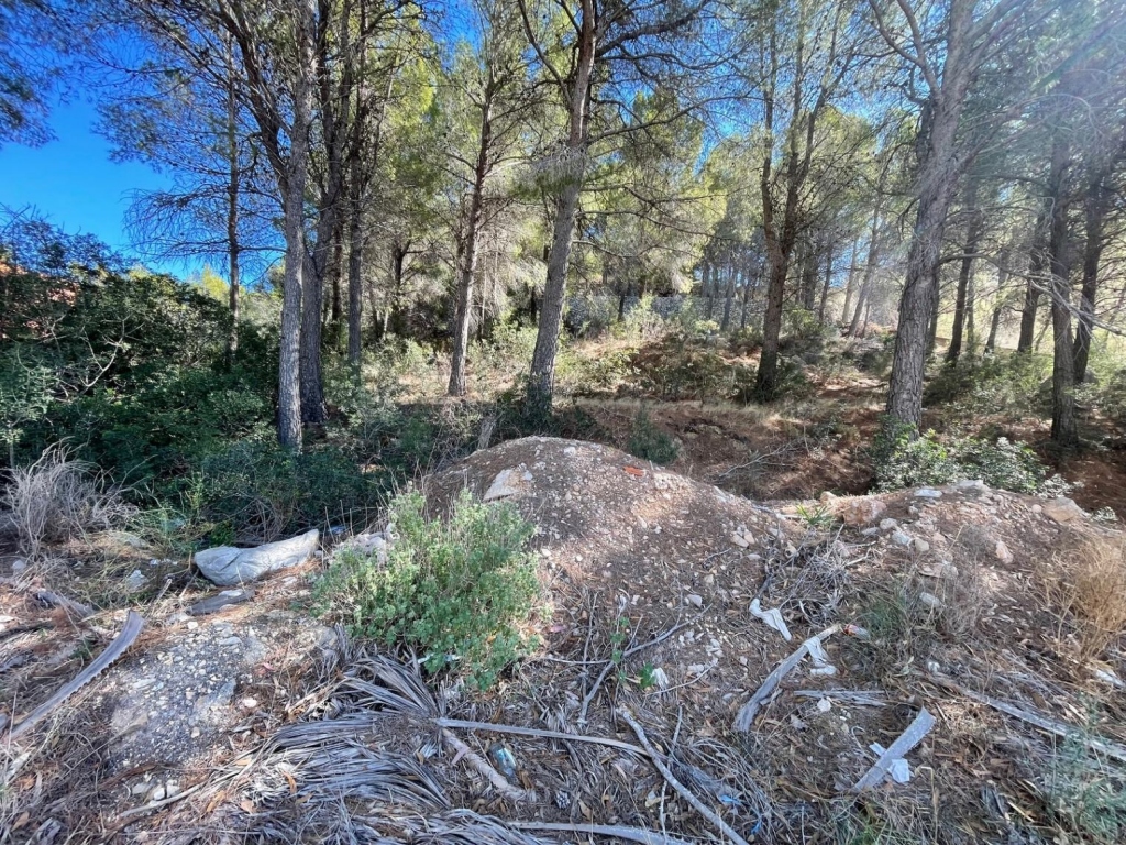 plot in Altea