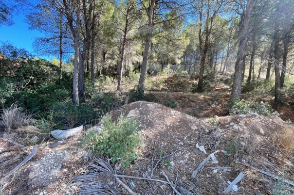 plot in Altea