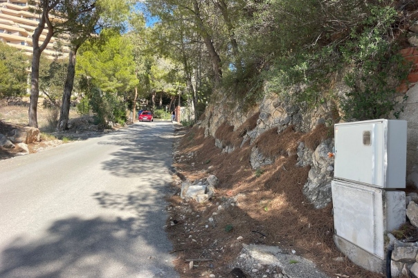 plot in Altea