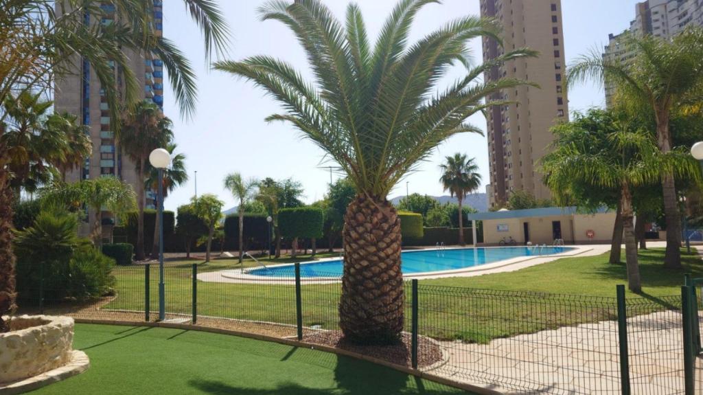 3 bed apartment in Benidorm