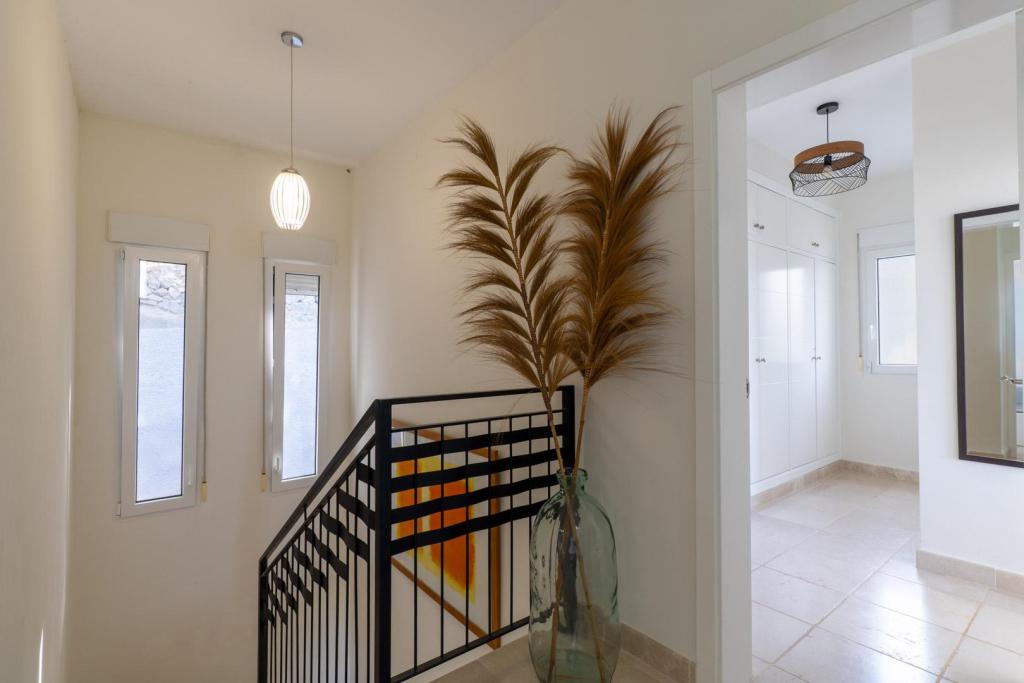 3 bed villa in Pedreguer