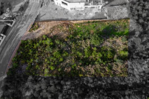 plot in Jávea