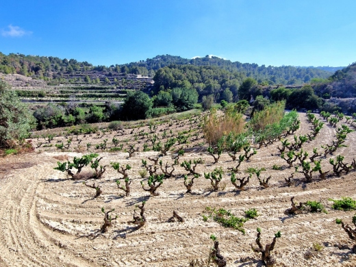 plot in Teulada